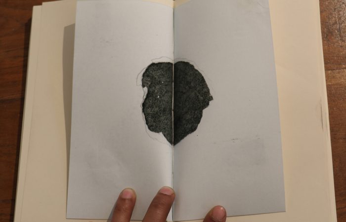 011. Sonam_Objects Collected in Books_Artists’ book_5”x7”x1.75”_Series of 2_2016_detail