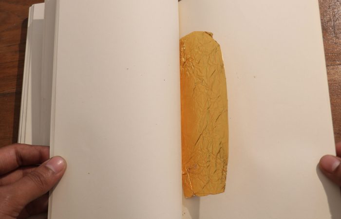 017. Sonam_Objects Collected in Books_Artists’ book_5”x7”x1.75”_Series of 2_2016_detail