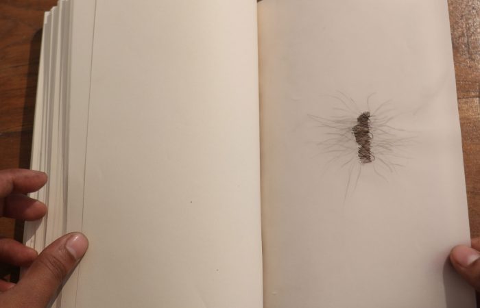 018. Sonam_Objects Collected in Books_Artists’ book_5”x7”x1.75”_Series of 2_2016_detail