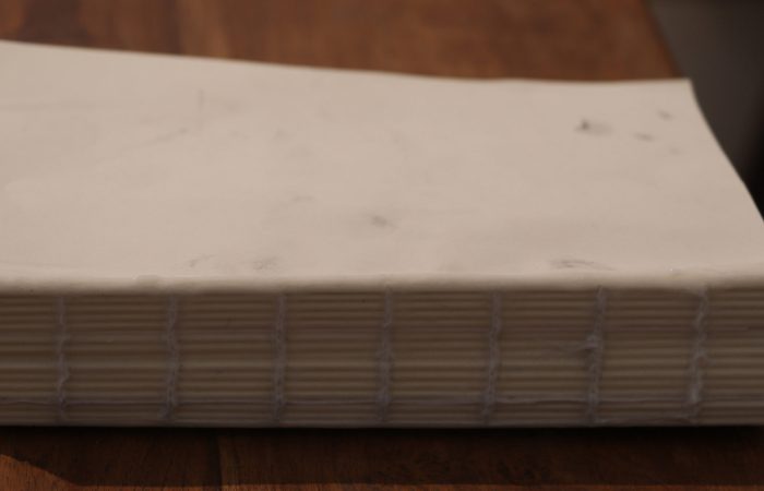 03. Sonam_Objects Collected in Books_Artists’ book_5”x7”x1.75”_Series of 2_2016_detail