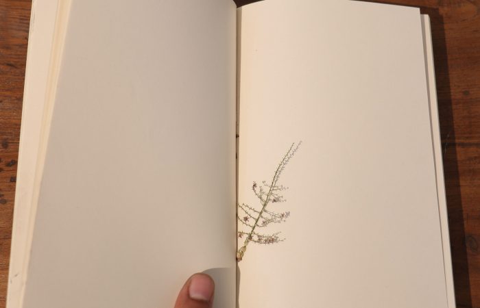 04. Sonam_Objects Collected in Books_Artists’ book_5”x7”x1.75”_Series of 2_2016_detail