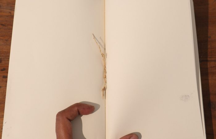 05. Sonam_Objects Collected in Books_Artists’ book_5”x7”x1.75”_Series of 2_2016_detail