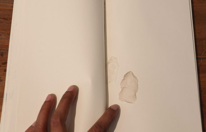 07. Sonam_Objects Collected in Books_Artists’ book_5”x7”x1.75”_Series of 2_2016_detail