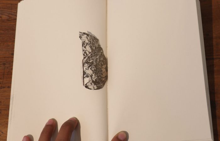 09. Sonam_Objects Collected in Books_Artists’ book_5”x7”x1.75”_Series of 2_2016_detail